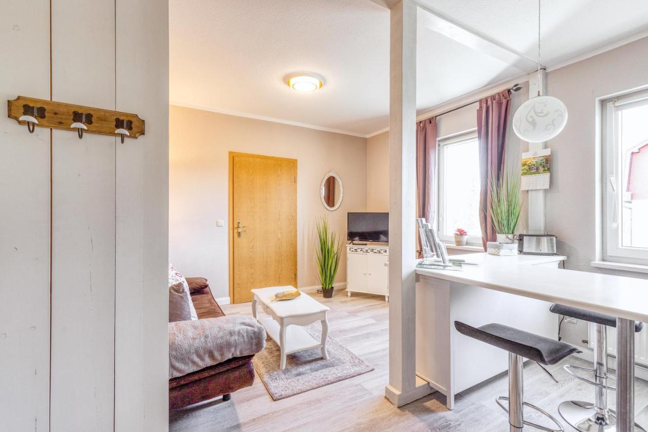 Ferienwohnung Ziesing Friedrichsbrunn ターレ エクステリア 写真